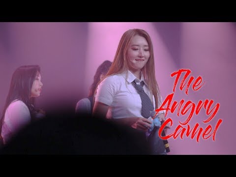 190906 KL Concert - 드림캐쳐 Dreamcatcher - Wake Up Sua 직캠