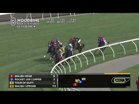 Woodbine, Tbred, September 17, 2022 Race 3
