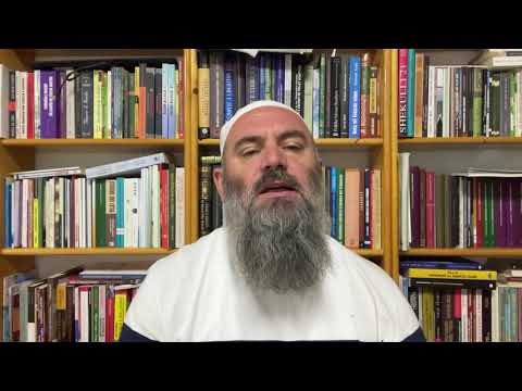 Mes shejh Albanit dhe shejh Aliut, Allahu i mëshiroftë! - Hoxhë Bekir Halimi