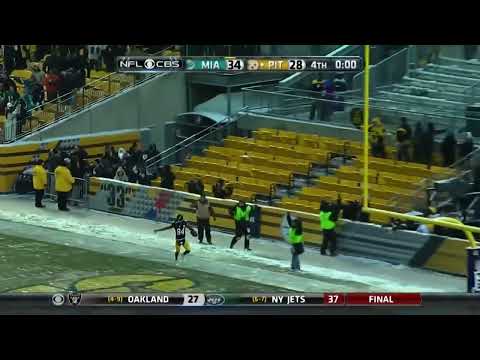 Steelers Dolphins Last Play 2013