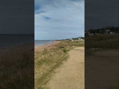📍Bella Vista 🚏🌾🌊(Maldonado, #Uruguay )