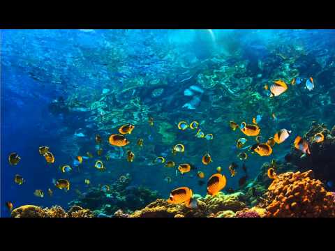 Abraham Hicks - Rampage of Well being