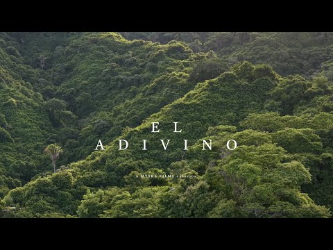 El Adivino