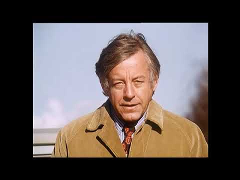 DER AUTOTEST - Citroen Dyane 6 von 1971