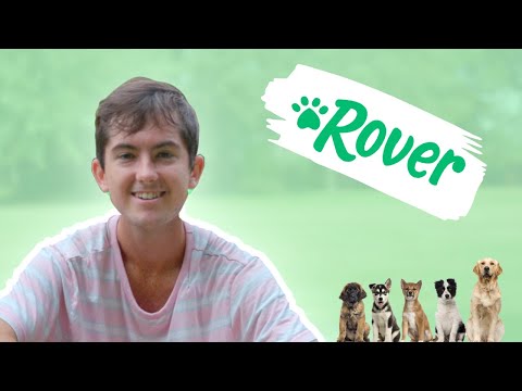 I Tried the Rover Side Hustle (my thoughts)