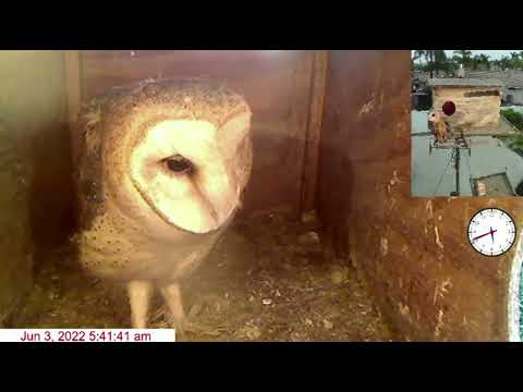 Welcome home Patty! 6-3-22