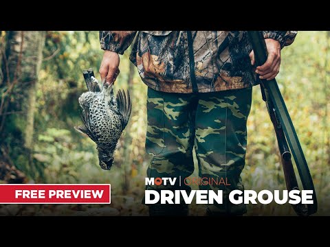 Driven Grouse | Free Episode | MyOutdoorTV