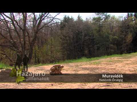 Hazajáró pillanatok - Muravidék