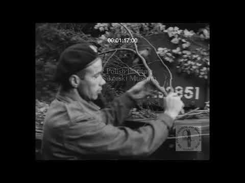 SIK 050 - 1st Polish Armoured Division in Scotland