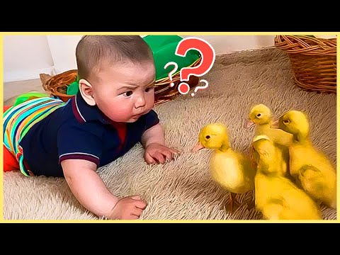 ULTIMATE Baby Funny Moments: 1 Hour of Cutest Baby Video