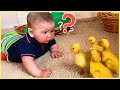 ULTIMATE Baby Funny Moments 1 Hour Of Cutest Baby Video