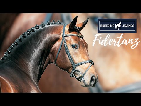 Breeding Legends | Fidertanz 🌟 | Der Werdegang eines Ausnahmehengstes 😍