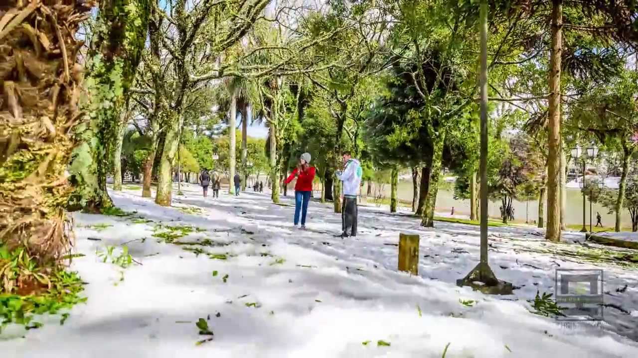 youtube video id=8PIUdvTsLfU