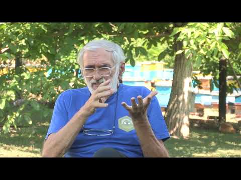 Boja meda ep. 229 26.07.2022. Sezona u braničevskom Velikom Selu, med od kestena, pojilice