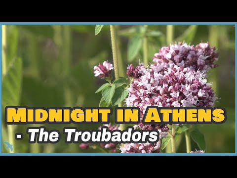 [4K] The Troubadors - Midnight in Athens 1957