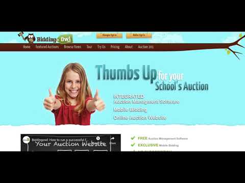 Biddingowl: How to run a successful fundraising auction for your non-profit