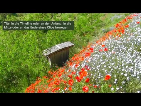 Probiotischer Weinbau - zu Besuch im Weinberg Weingut Johannes Kiefer