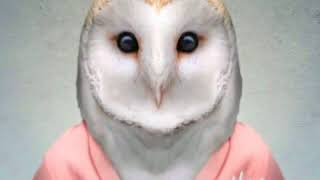 Jaded - In The Morning ( Official Music )