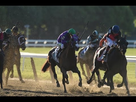 2014 Belmont Stakes - Tonalist + Post Race
