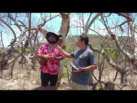 Visitamos El balneario Los cocos en Estanzuelas ,Usulutan Norte, en Oriente de El salvador.