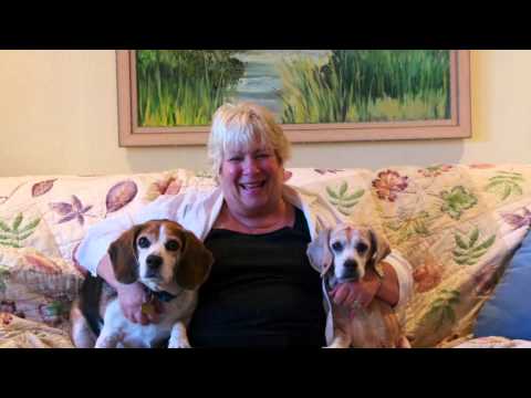 Lucky Dogs at Peace of Mind Dog Rescue