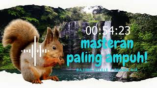 Download lagu SUARA BAJING DAN AIR | TERAPHY UNTUK MASTERAN BURUNG mp3