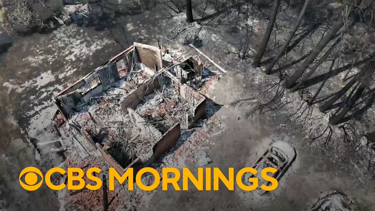 See the devastating destruction of the wildfires in this French town