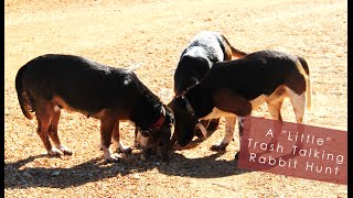 A &quot;Little&quot; Trash Talking Rabbit Hunt | Thunderdome Kennel &amp; Benson&#39;s Kennel