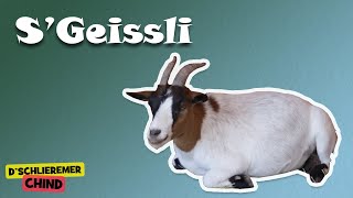 Schlieremer Chind - S'Geissli