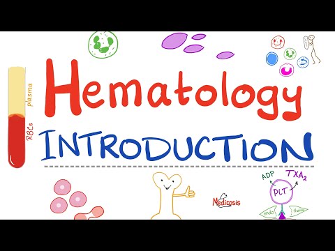 Hematology - Introduction - Hematopoiesis: Let's Make RBCs, WBCs, and Platelets -Hematology Playlist