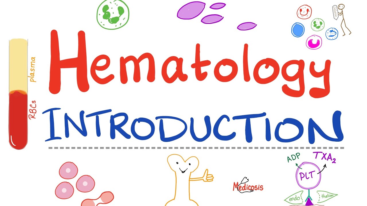 Hematology - Introduction - Hematopoiesis: Let's Make RBCs, WBCs, and Platelets -Hematology Playlist