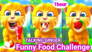 Kids Cartoon Video 🙀 Talking Ginger Extreme Food Challenge! 🍓😱
