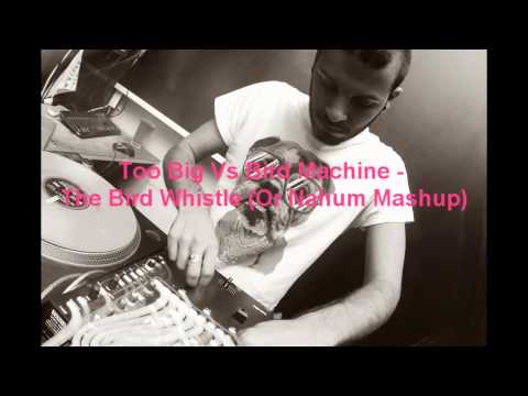 Too Big Bird Machine (Dj Or Nahum Mashup)