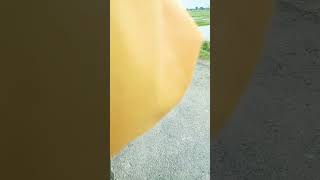 Siddharth Nagar mein a Gaya badh 🌹🌹🚩🚩🌹