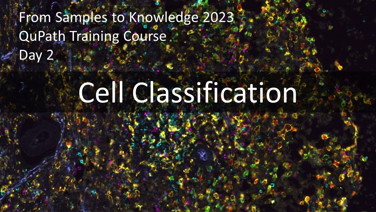 Cell classification