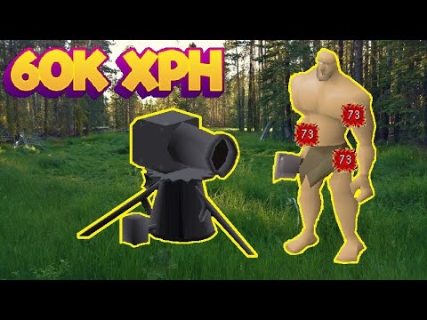 The New Best Cannon Spot for LOW HP Pures/Hill Giants (OSRS)