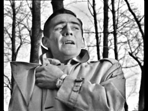 Gunnar Wiklund - En gång i vårt sommarland (1964)