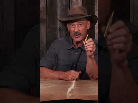 Nosler's Ballistic Tip Hunting Bullet