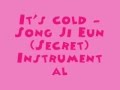 It's cold - Song Ji Eun (Secret) [MR ...