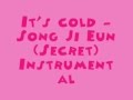 It's cold - Song Ji Eun (Secret) [MR ...