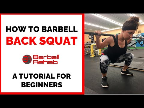 Squat barre arrière