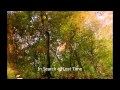 Sun Airway - Soft Fall 
