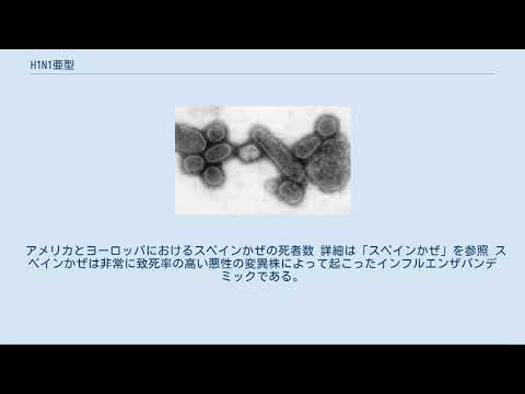 プリンスエドワード島