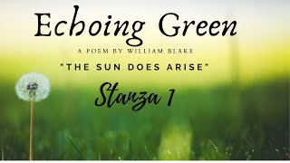 Poetry Lesson #1: The Echoing Green by William Blake