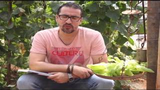 Toda Leitura: "Noites de Alface", de Vanessa Barbara - Jornal Futura - Canal Futura