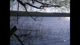 Bernard Fanning: Down To The River