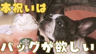 パパの２回目の誕生日祝いはお出かけしてみた🚗💨