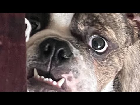 You wouldn’t believe what prince did