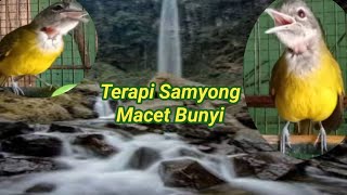 Download lagu TERAPI SAMYONG MACET BUNYI mp3