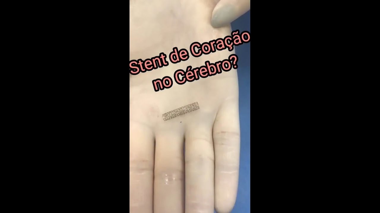 Luana Antunes Maranha Gatto-12